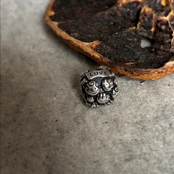 PANDORA Love & Family Charm Authentic Sterling Silver Smiling Faces Engraved - Picture 4 of 14